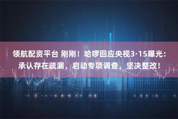 领航配资平台 刚刚!哈啰回应央视3·15曝光:承认存在疏漏,启动专项调查,坚决整改!