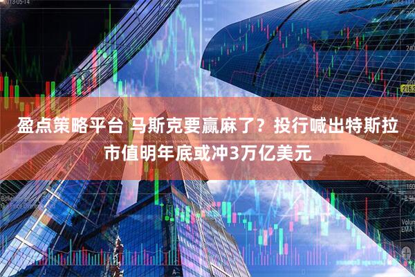 盈点策略平台 马斯克要赢麻了？投行喊出特斯拉市值明年底或冲3万亿美元